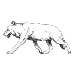 Coloring page: Boar (Animals) #14691 - Printable coloring pages