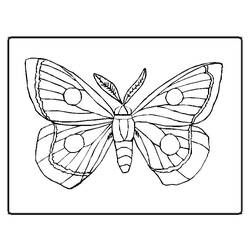 Coloring page: Butterfly (Animals) #15667 - Free Printable Coloring Pages