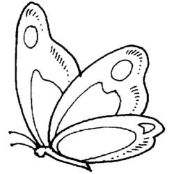Coloring page: Butterfly (Animals) #15685 - Free Printable Coloring Pages