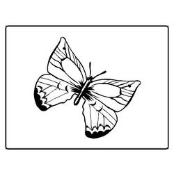 Coloring page: Butterfly (Animals) #15687 - Free Printable Coloring Pages