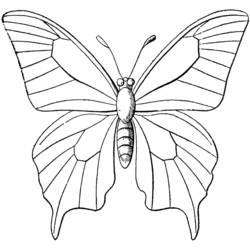 Coloring page: Butterfly (Animals) #15693 - Free Printable Coloring Pages