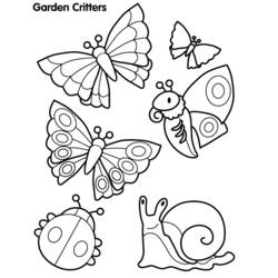 Coloring page: Butterfly (Animals) #15714 - Free Printable Coloring Pages