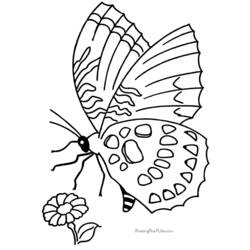 Coloring page: Butterfly (Animals) #15720 - Free Printable Coloring Pages