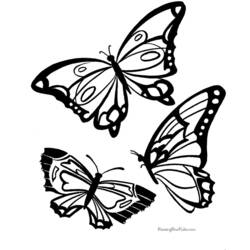 Coloring page: Butterfly (Animals) #15730 - Free Printable Coloring Pages