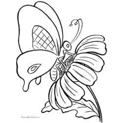 Coloring page: Butterfly (Animals) #15732 - Free Printable Coloring Pages