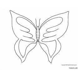 Coloring page: Butterfly (Animals) #15738 - Free Printable Coloring Pages
