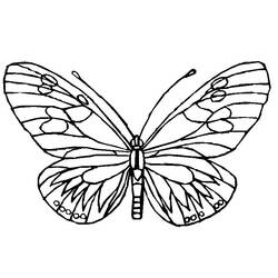 Coloring page: Butterfly (Animals) #15745 - Printable coloring pages