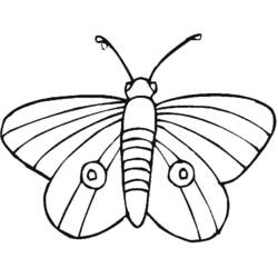 Coloring page: Butterfly (Animals) #15752 - Free Printable Coloring Pages