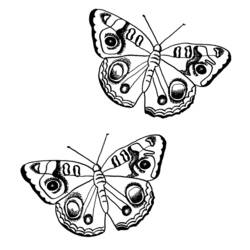Coloring page: Butterfly (Animals) #15764 - Free Printable Coloring Pages
