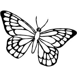 Coloring pages: Butterfly - Printable Coloring Pages