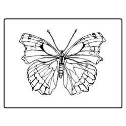 Coloring page: Butterfly (Animals) #15774 - Free Printable Coloring Pages
