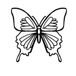 Coloring page: Butterfly (Animals) #15779 - Free Printable Coloring Pages