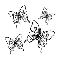 Coloring page: Butterfly (Animals) #15788 - Free Printable Coloring Pages