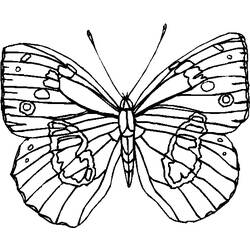 Coloring page: Butterfly (Animals) #15814 - Free Printable Coloring Pages