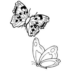 Coloring page: Butterfly (Animals) #15828 - Free Printable Coloring Pages