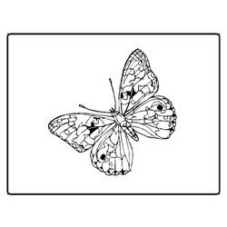 Coloring page: Butterfly (Animals) #15838 - Free Printable Coloring Pages