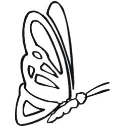 Coloring page: Butterfly (Animals) #15840 - Free Printable Coloring Pages
