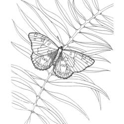 Coloring page: Butterfly (Animals) #15841 - Free Printable Coloring Pages