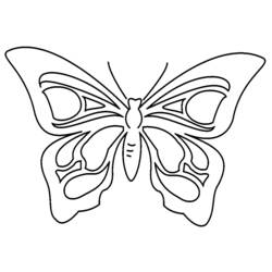 Coloring page: Butterfly (Animals) #15850 - Printable coloring pages