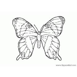 Coloring page: Butterfly (Animals) #15857 - Free Printable Coloring Pages