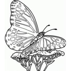 Butterfly (Animals) coloring page #175119 to print and color