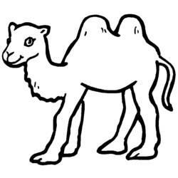 Coloring page: Camel (Animals) #1661 - Printable coloring pages
