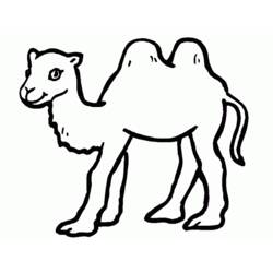 Coloring page: Camel (Animals) #1681 - Printable coloring pages