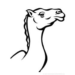 Coloring page: Camel (Animals) #1685 - Printable coloring pages