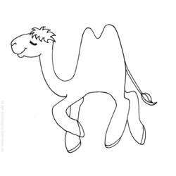 Coloring page: Camel (Animals) #1688 - Printable coloring pages
