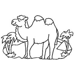 Coloring page: Camel (Animals) #1697 - Printable coloring pages