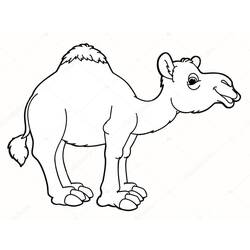 Camel (Animals) coloring page #205457 to print and color