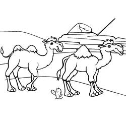 Camel (Animals) coloring page #205472 to print and color