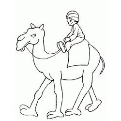 Camel (Animals) coloring page #205476 to print and color
