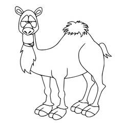 Camel (Animals) coloring page #205478 to print and color