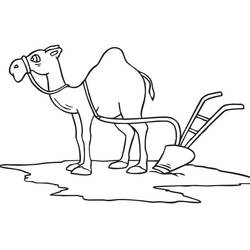 Camel (Animals) coloring page #205491 to print and color