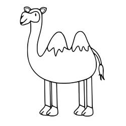 Camel (Animals) coloring page #205505 to print and color
