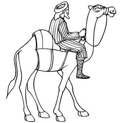 Camel (Animals) coloring page #205508 to print and color