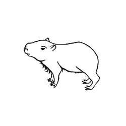 Capybara (Animals) coloring page #207568 to print and color