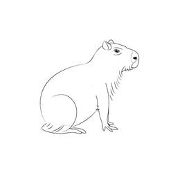 Capybara (Animals) coloring page #207570 to print and color