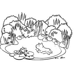Capybara (Animals) coloring page #207573 to print and color