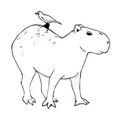 Capybara (Animals) coloring page #207575 to print and color