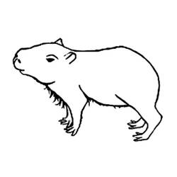 Capybara (Animals) coloring page #207578 to print and color