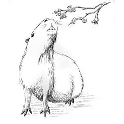 Capybara (Animals) coloring page #207579 to print and color