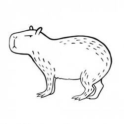Capybara (Animals) coloring page #207581 to print and color