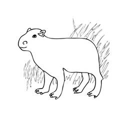 Capybara (Animals) coloring page #207582 to print and color