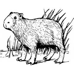 Capybara (Animals) coloring page #207583 to print and color