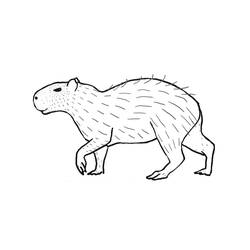 Capybara (Animals) coloring page #207584 to print and color