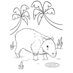 Capybara (Animals) coloring page #207586 to print and color