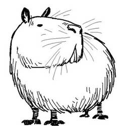 Capybara (Animals) coloring page #207589 to print and color