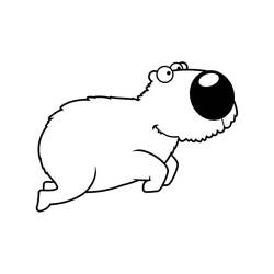 Capybara (Animals) coloring page #207594 to print and color